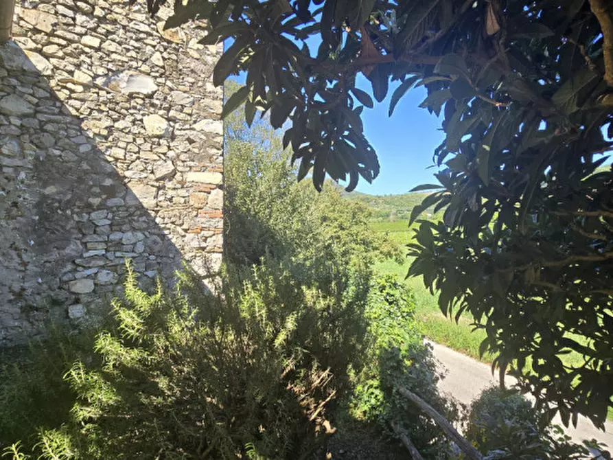 Immagine 32 di Rustico / casale in vendita  in via dietro cero a Baone
