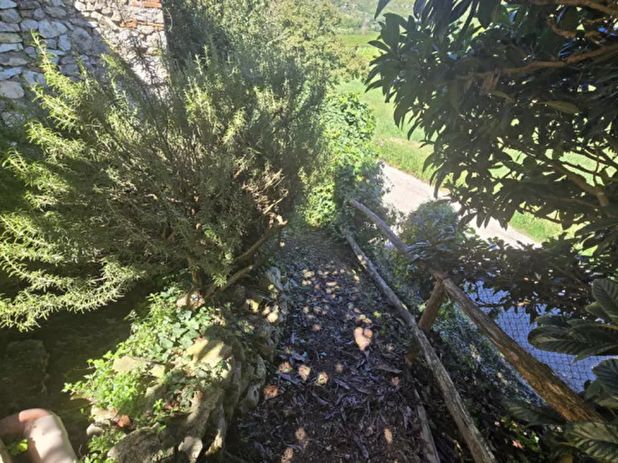 Immagine 33 di Rustico / casale in vendita  in via dietro cero a Baone