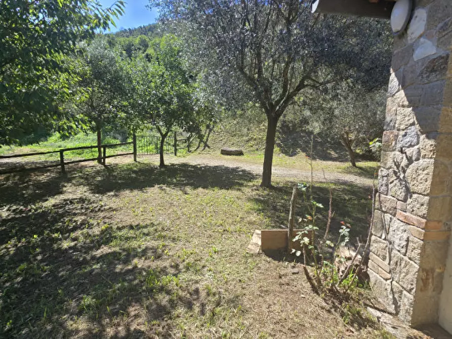 Immagine 34 di Rustico / casale in vendita  in via dietro cero a Baone