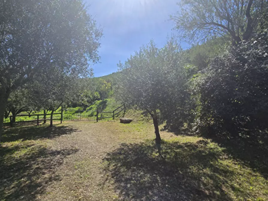 Immagine 36 di Rustico / casale in vendita  in via dietro cero a Baone