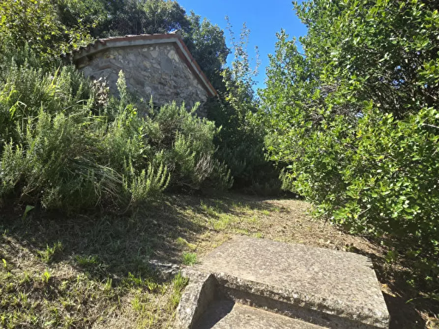 Immagine 39 di Rustico / casale in vendita  in via dietro cero a Baone