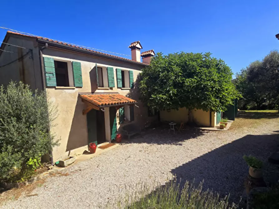 Immagine 40 di Rustico / casale in vendita  in via dietro cero a Baone