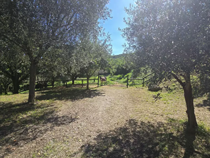 Immagine 41 di Rustico / casale in vendita  in via dietro cero a Baone