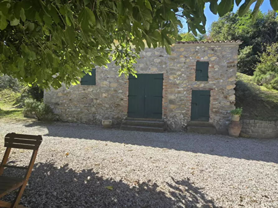 Immagine 44 di Rustico / casale in vendita  in via dietro cero a Baone