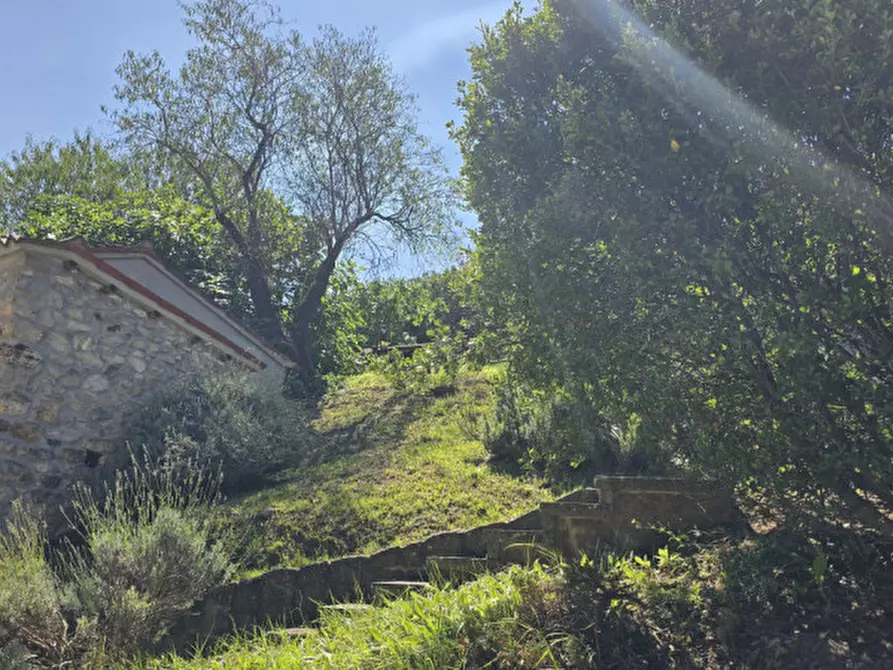 Immagine 45 di Rustico / casale in vendita  in via dietro cero a Baone