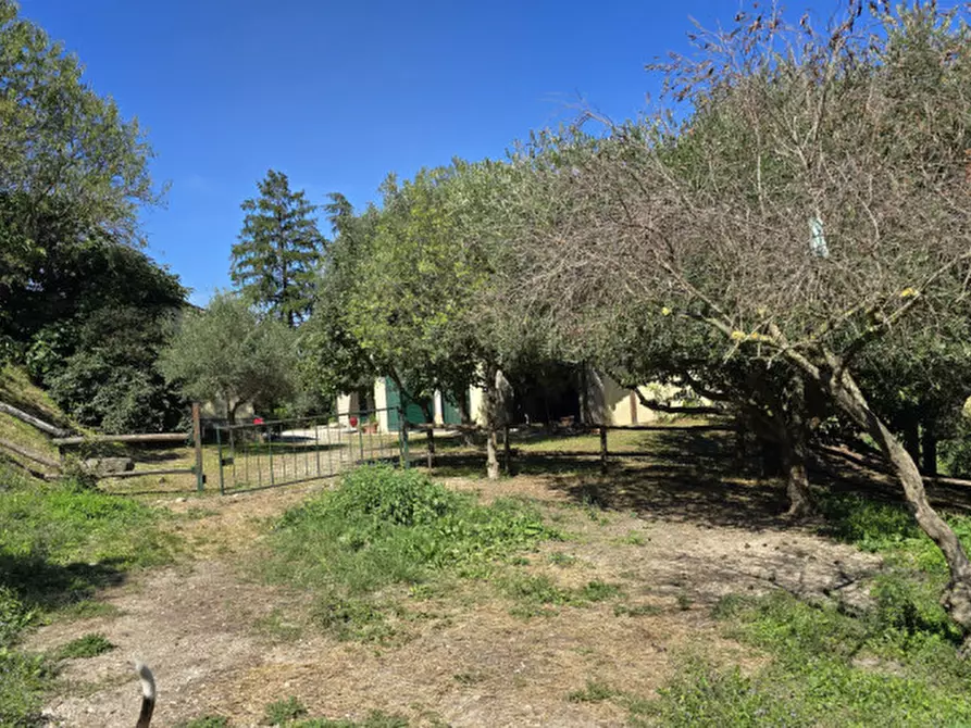 Immagine 47 di Rustico / casale in vendita  in via dietro cero a Baone