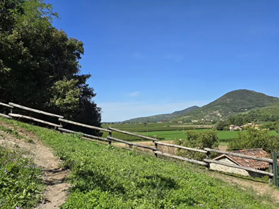 Immagine 48 di Rustico / casale in vendita  in via dietro cero a Baone