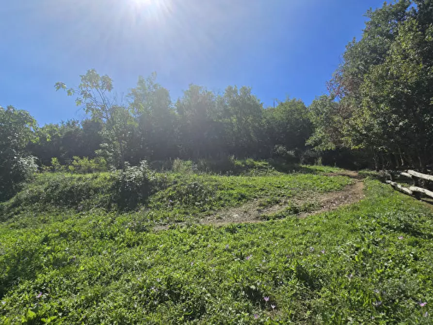 Immagine 51 di Rustico / casale in vendita  in via dietro cero a Baone