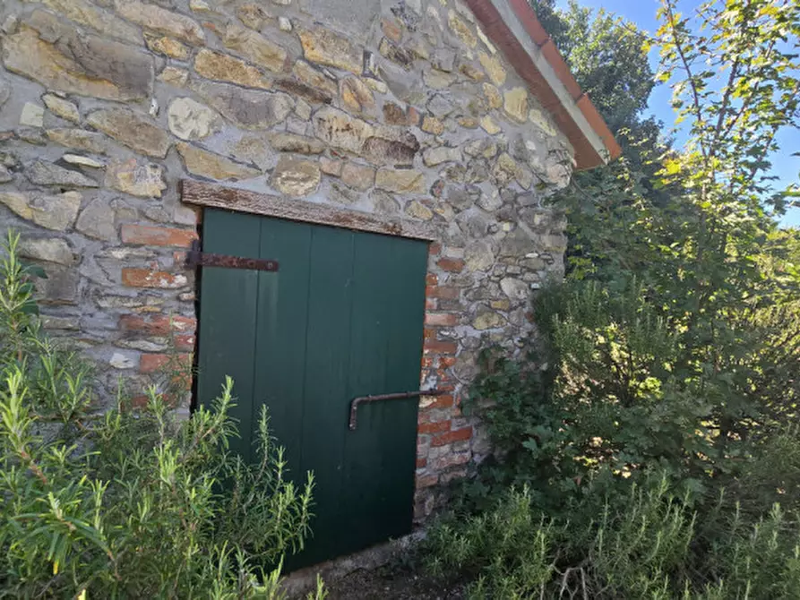 Immagine 53 di Rustico / casale in vendita  in via dietro cero a Baone