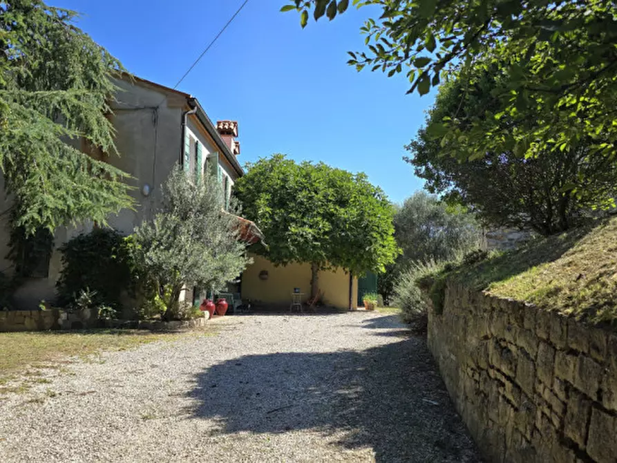 Immagine 56 di Rustico / casale in vendita  in via dietro cero a Baone