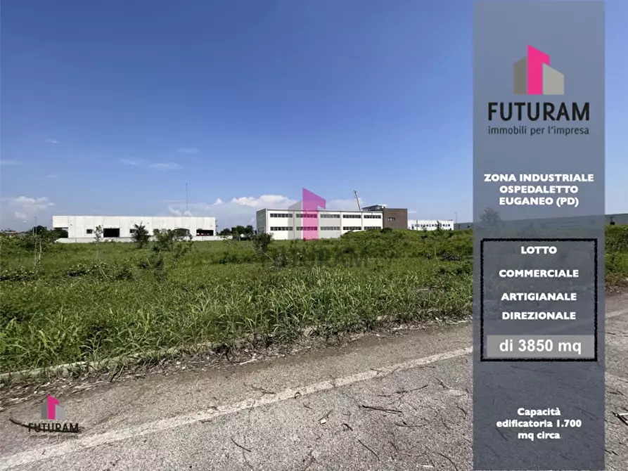 Immagine 1 di Terreno in vendita  in strada regionale inferiore a Ospedaletto Euganeo