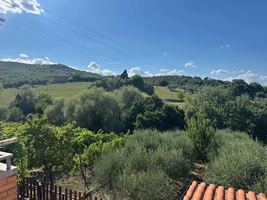 Immagine 2 di Casa indipendente in vendita  in Ginestreto a Piegaro