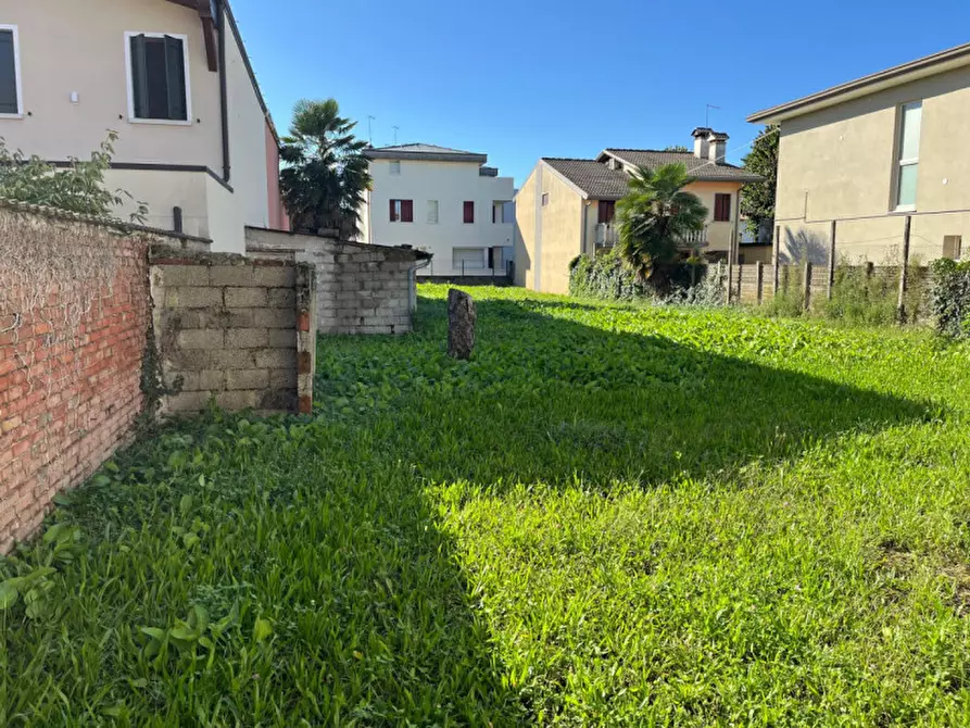 Immagine 3 di Rustico / casale in vendita  a Tombolo