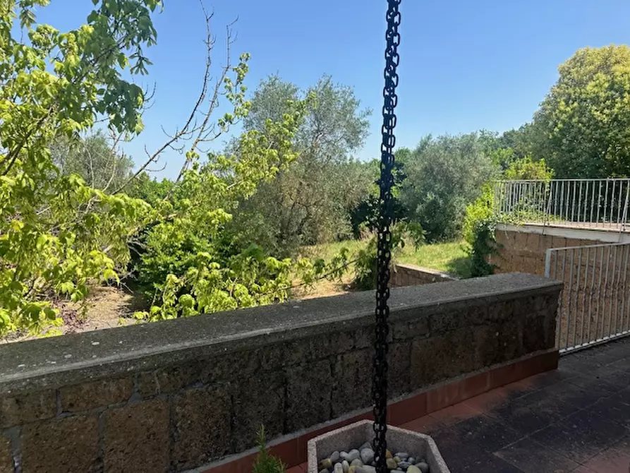 Immagine 5 di Villa in vendita  a Viterbo
