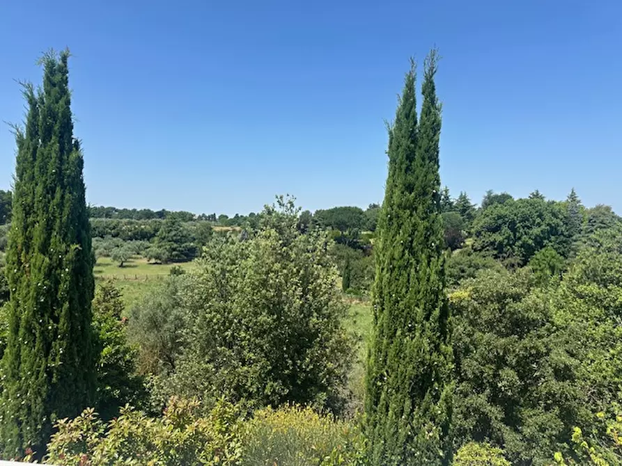Immagine 6 di Villa in vendita  a Viterbo