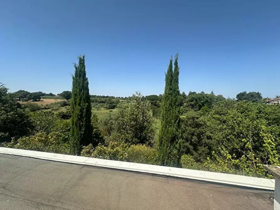 Immagine 7 di Villa in vendita  a Viterbo