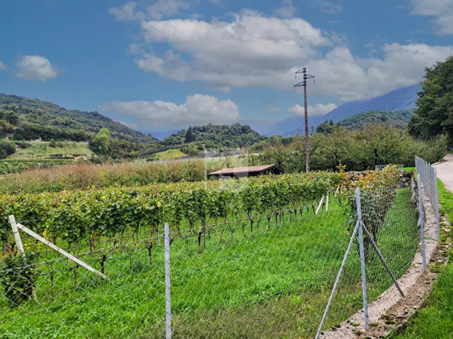 Immagine 1 di Terreno in vendita  in via dei vespai a Drena