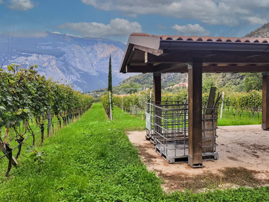 Immagine 2 di Terreno in vendita  in via dei vespai a Drena