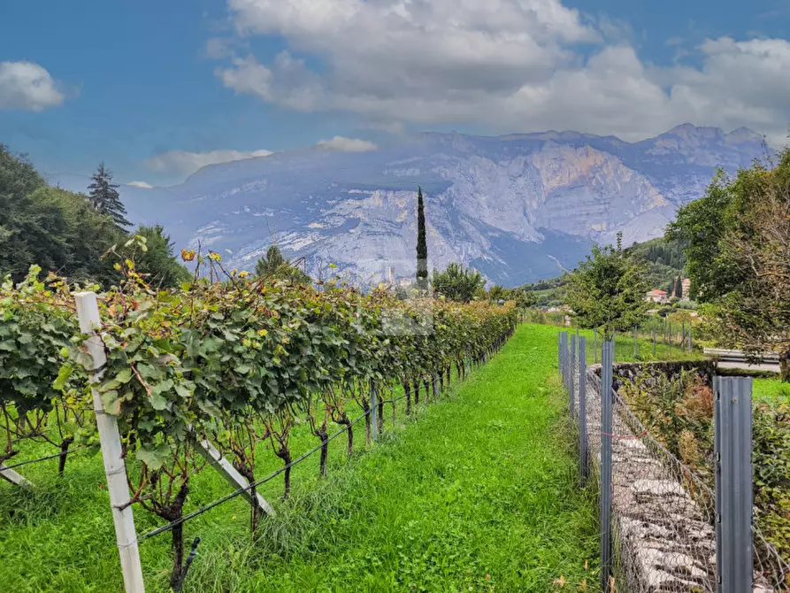 Immagine 3 di Terreno in vendita  in via dei vespai a Drena