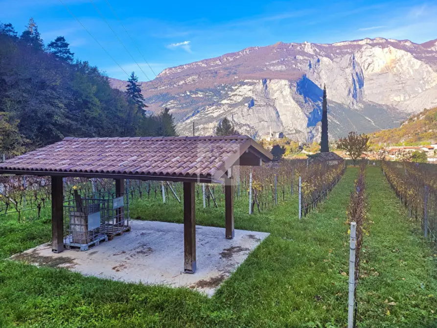 Immagine 4 di Terreno in vendita  in via dei vespai a Drena