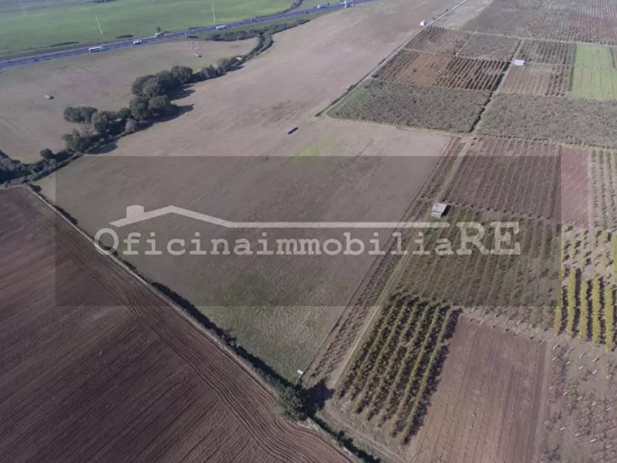 Immagine 2 di Terreno in vendita  a Codevigo