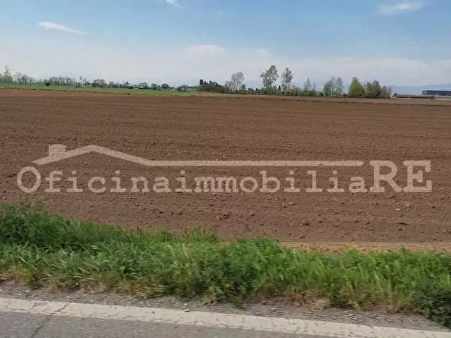 Immagine 4 di Terreno in vendita  a Codevigo