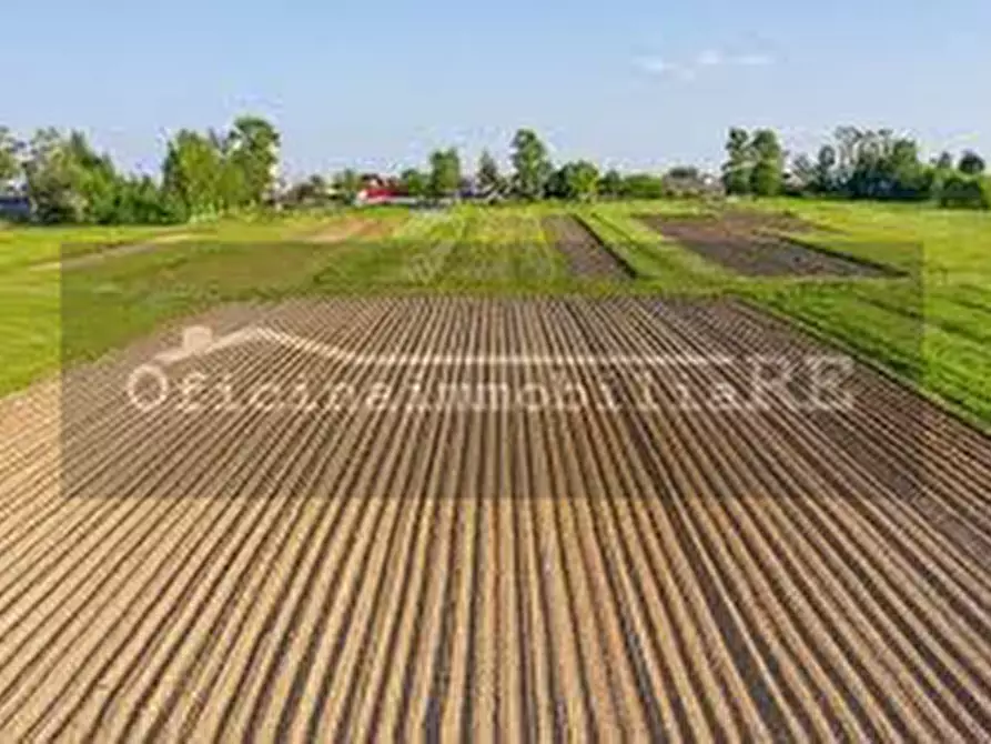 Immagine 5 di Terreno in vendita  a Codevigo