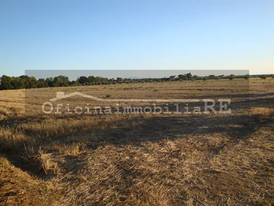 Immagine 6 di Terreno in vendita  a Codevigo