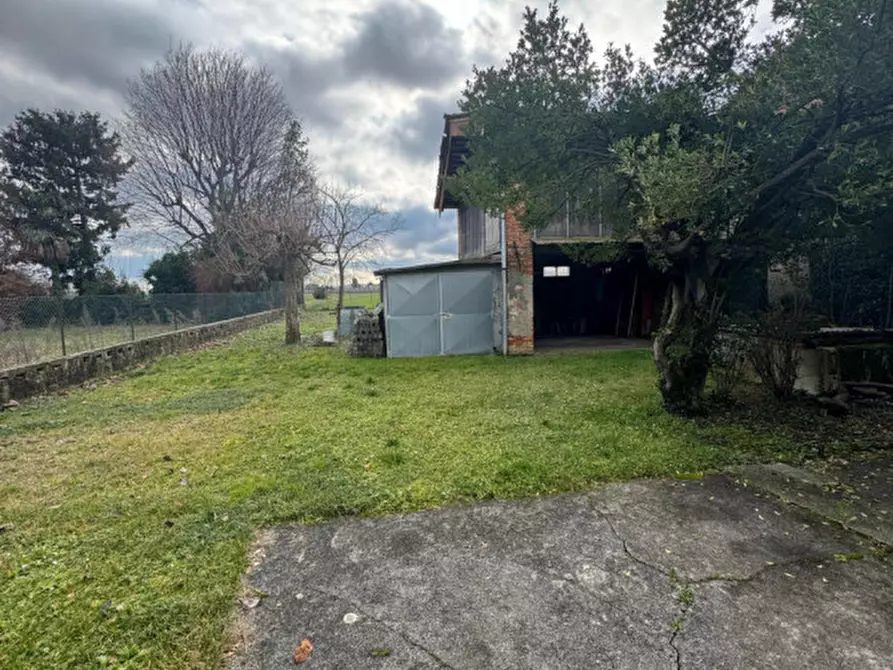 Immagine 8 di Rustico / casale in vendita  in Via Vittorio Veneto 23 a Bagnaria Arsa