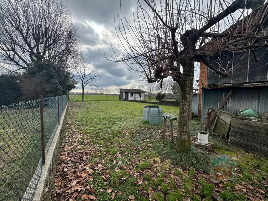 Immagine 11 di Rustico / casale in vendita  in Via Vittorio Veneto 23 a Bagnaria Arsa
