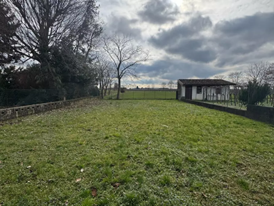 Immagine 15 di Rustico / casale in vendita  in Via Vittorio Veneto 23 a Bagnaria Arsa