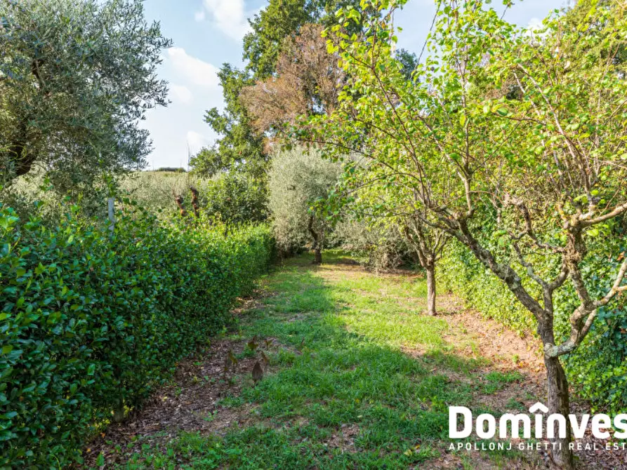 Immagine 9 di Villa in vendita  in Via Selvanova I a Velletri