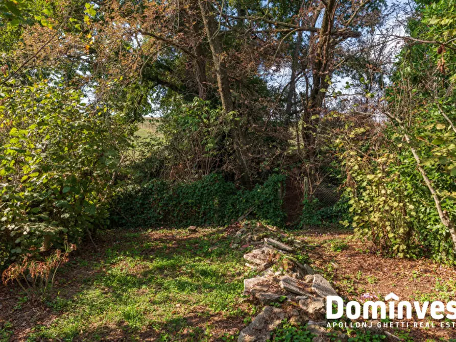 Immagine 10 di Villa in vendita  in Via Selvanova I a Velletri