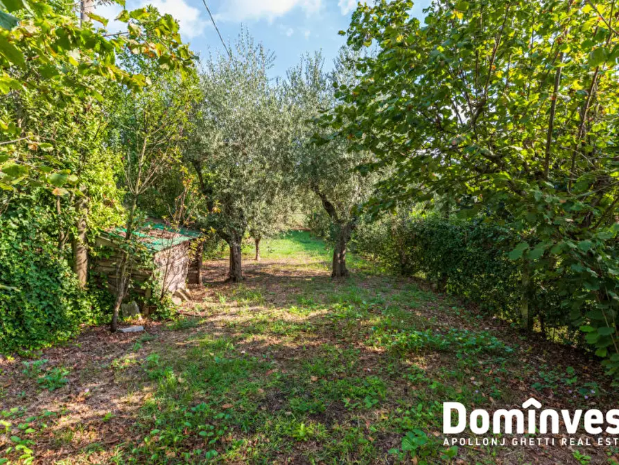 Immagine 11 di Villa in vendita  in Via Selvanova I a Velletri