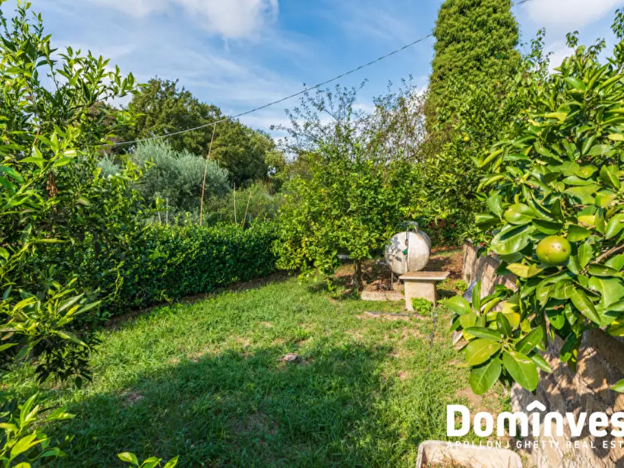 Immagine 12 di Villa in vendita  in Via Selvanova I a Velletri