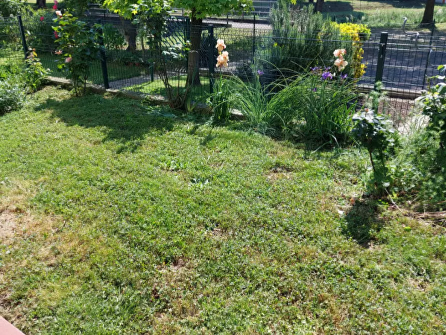 Immagine 3 di Casa trifamiliare in vendita  a Limena