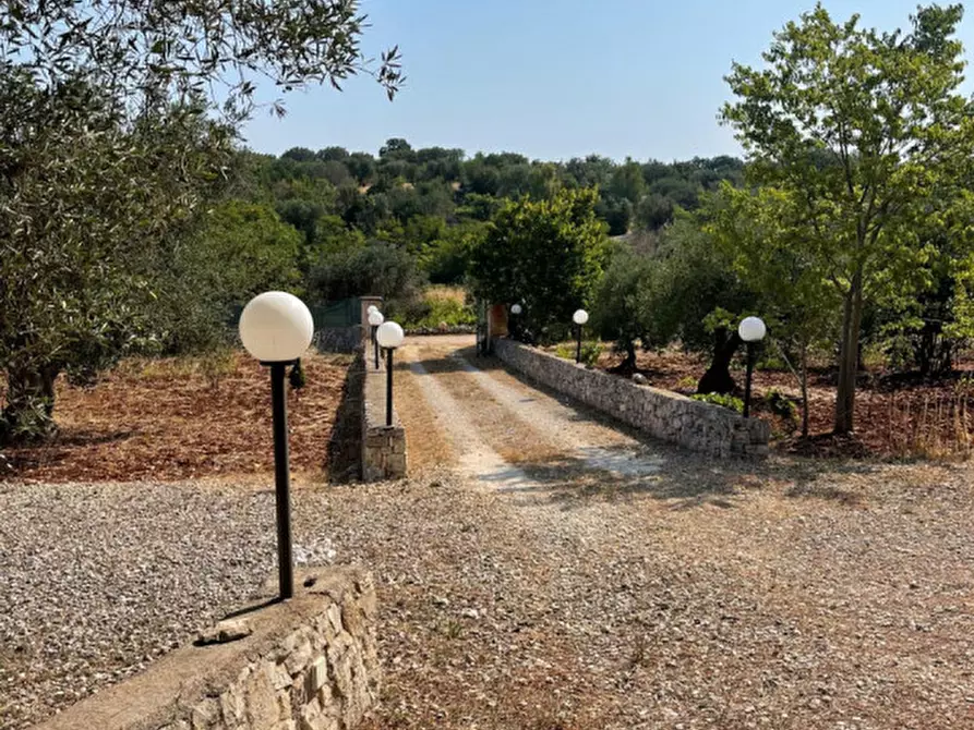 Immagine 21 di Rustico / casale in vendita  in Contrada Lamatroccola a Ostuni