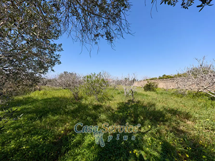 Immagine 64 di Casa indipendente in vendita  in Via Scalelle a Gallipoli