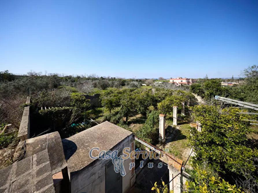 Immagine 67 di Casa indipendente in vendita  in Via Scalelle a Gallipoli