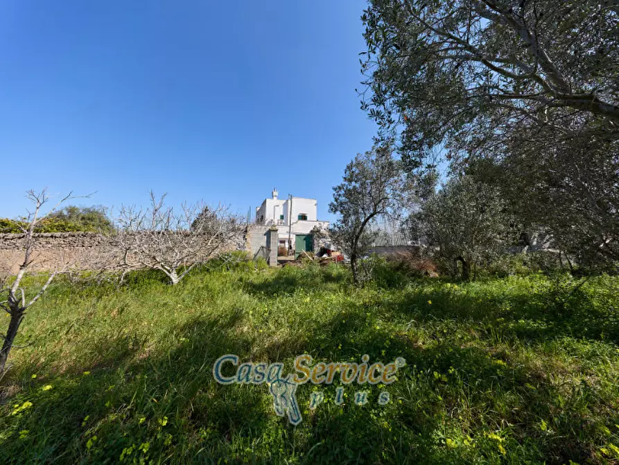 Immagine 71 di Casa indipendente in vendita  in Via Scalelle a Gallipoli