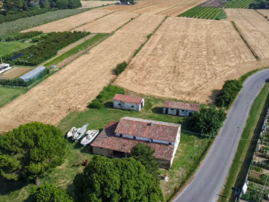 Immagine 5 di Rustico / casale in vendita  a Cesena