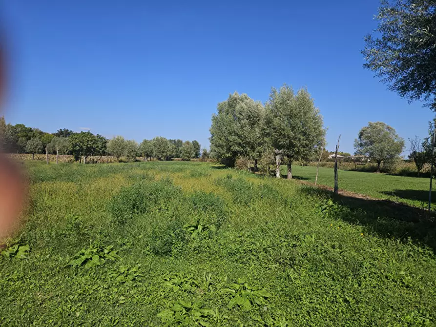 Immagine 2 di Casa bifamiliare in vendita  in via Vivaldi a Sant'urbano