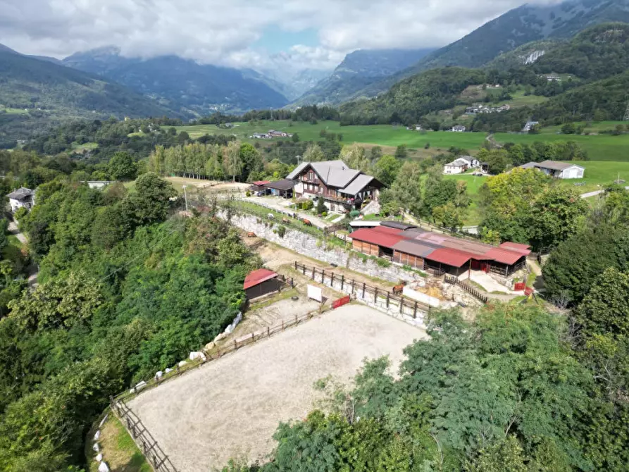 Immagine 3 di Bed & Breakfast in vendita  in STRADA PROVINCIALE 1 a Brosso