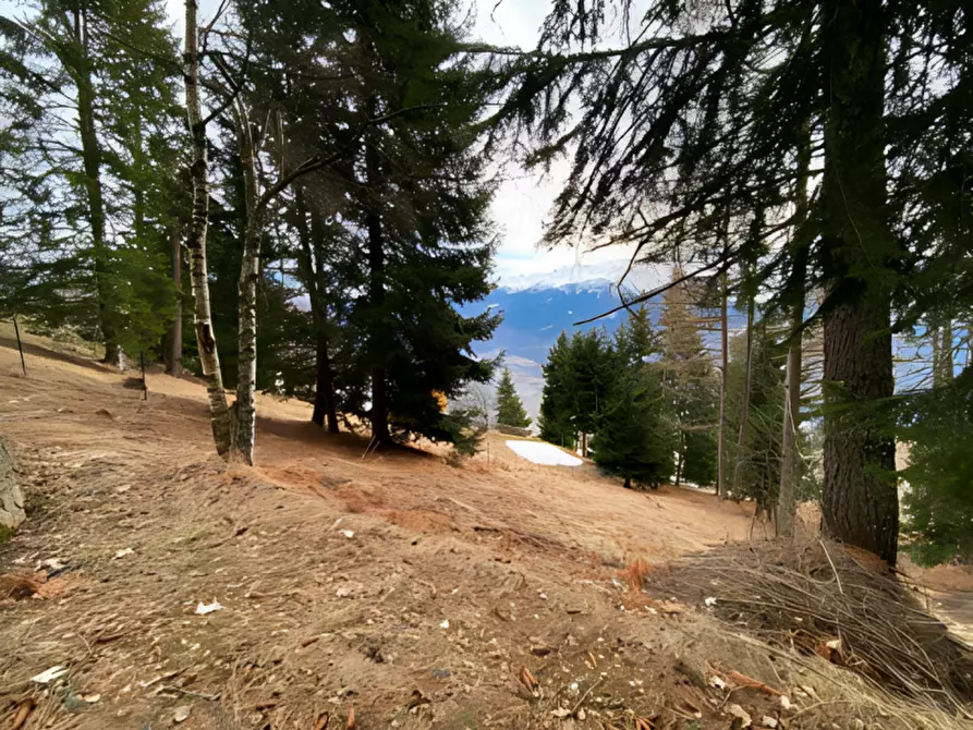 Immagine 14 di Villa in vendita  in località Boirolo a Tresivio