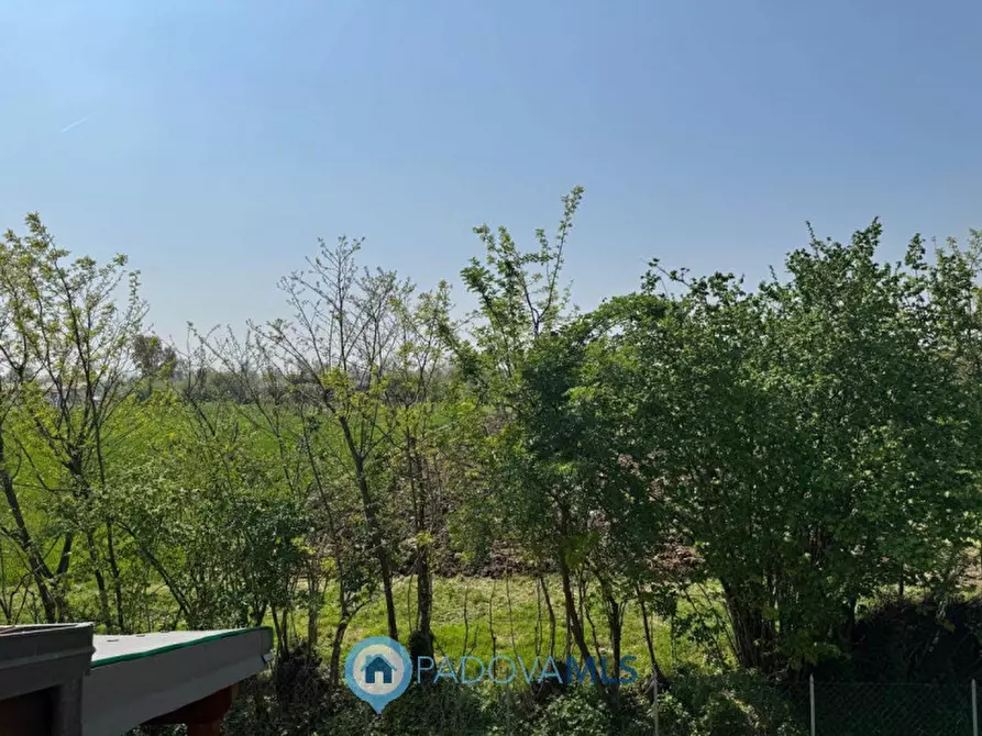 Immagine 2 di Casa bifamiliare in vendita  in Via Bassa 13 a Villafranca Padovana