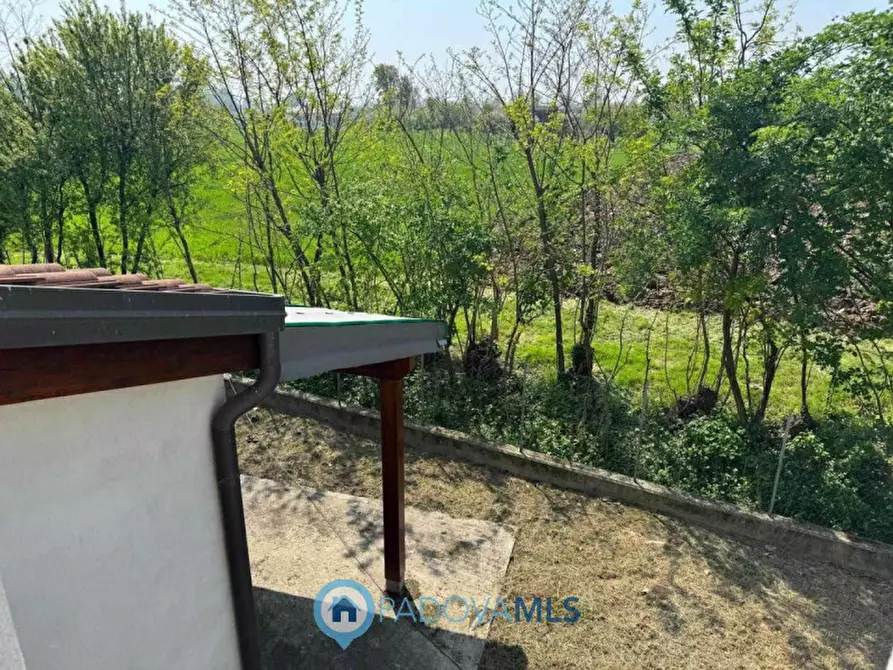 Immagine 11 di Casa bifamiliare in vendita  in Via Bassa 13 a Villafranca Padovana