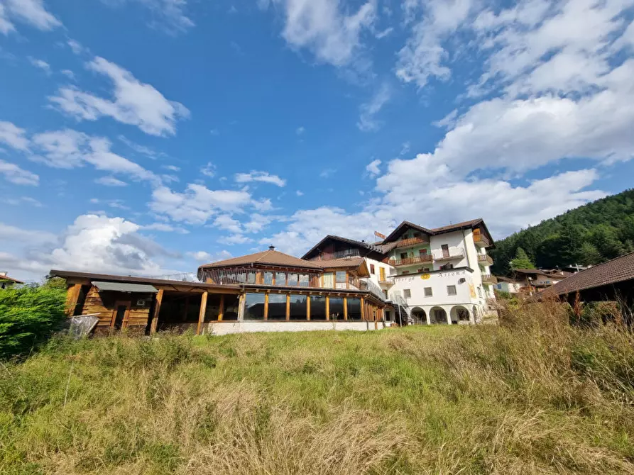 Immagine 14 di Hotel in vendita  a Amblar-Don