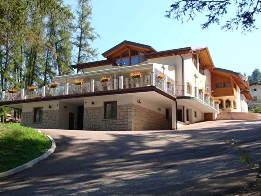 Immagine 1 di Attività commerciale in vendita  a Cavareno