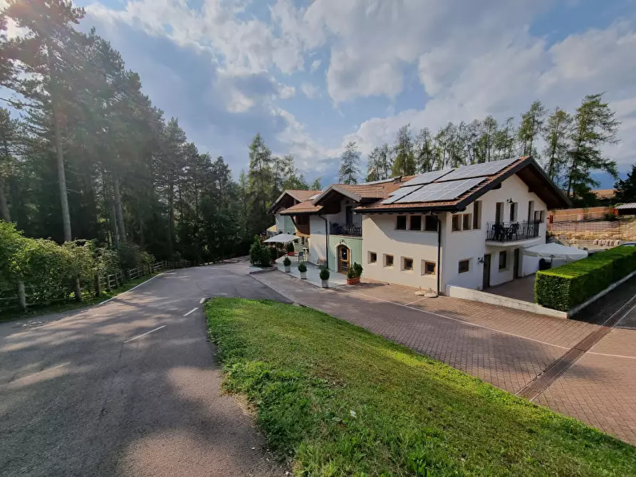 Immagine 2 di Attività commerciale in vendita  a Cavareno