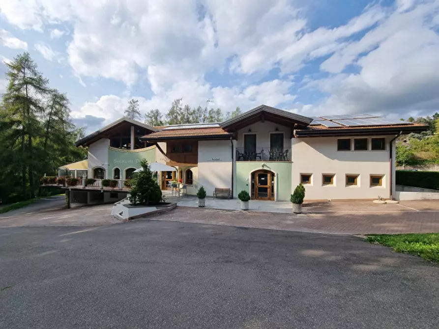 Immagine 3 di Attività commerciale in vendita  a Cavareno